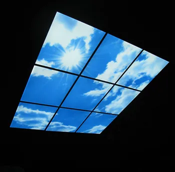 Blue Sky 40w 600x600 Led Ceiling Skylight Panel Light - Buy Sky Light ...