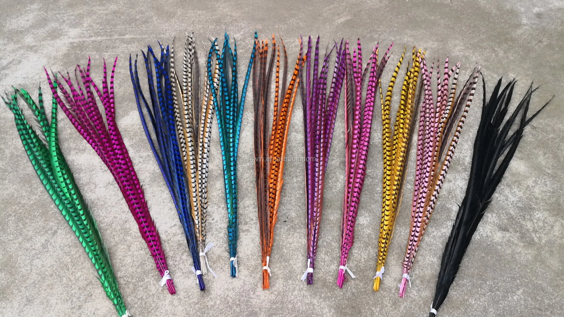 reeves pheasant feathers.jpg