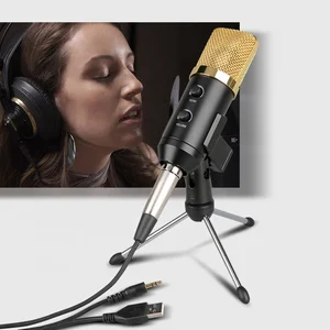 USB Condenser Microphone Echo USB Hub