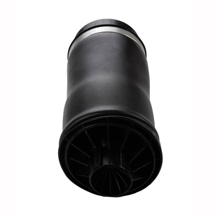 Oem 2513200025 Rear Air Bag Suspension For Mercedes Rclass W251 Buy