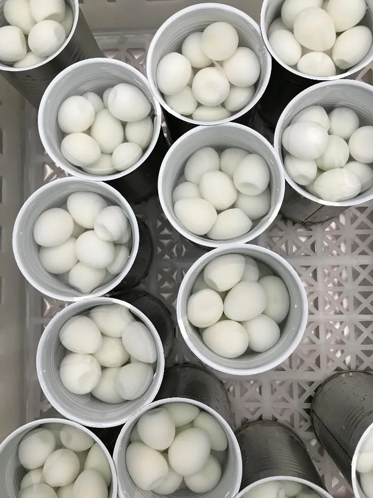 Canned Quail Eggs In Water Buy Canned Food,Wholesale Canned Food