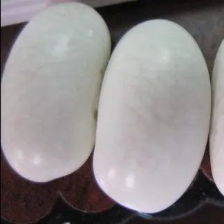 mid white bean3444.jpg