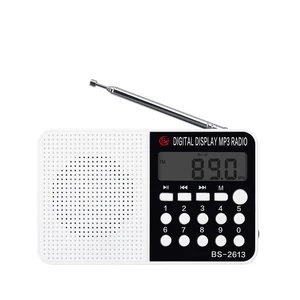 LCD Card FM Radio