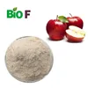 100% Pure Natural Chinese Factory Aupply Apple Extract Powder/Apple Juice Powder
