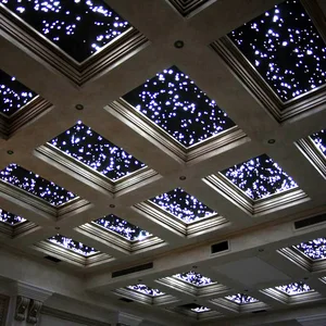 Starry Sky Ceiling Lights Starry Sky Ceiling Lights Suppliers And