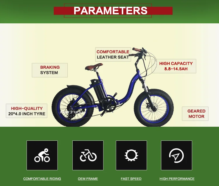 20 inch alloy 48v 750w folding electric bike with mudguard