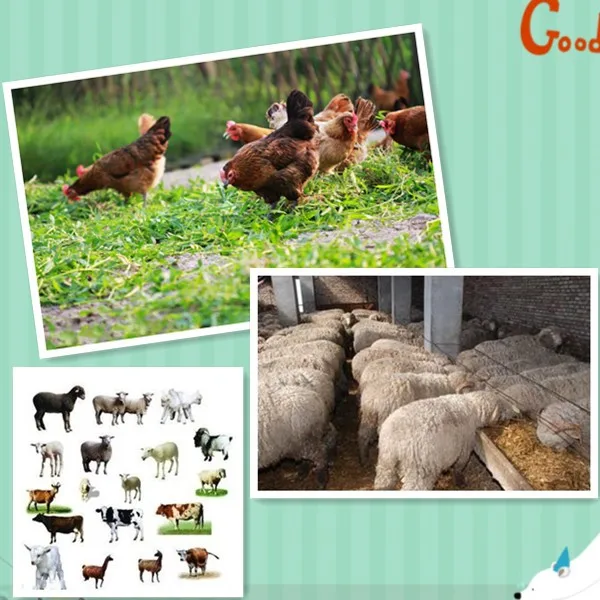 t01f6f9550595c545db_conew1_