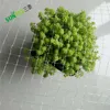 Long term supply 100% virgin material plastic butterfly barrier netting/garden plants protection against pest wire mesh with UV
