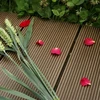 2019 Hot Sale Co-Extrusion Interlocking High Quality Decking