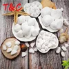 pure white natural stone pebbles cobbles for flooring beach garden