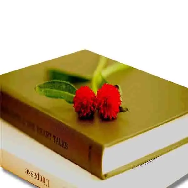 
Hot sale paperback english reading book printing 