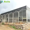 Multi Span Vegetable Corrugated Cellular Polycarbonate Sheet Greenhouse