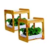 Shenzhen Smart home grow box hydroponic grow kit led for home vegetables