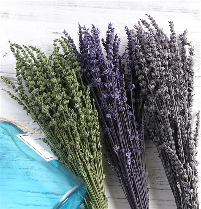 F1224 High Quality Lavender Flower Preserved Flower Dried Lavender