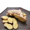 China high quality fresh ginger