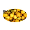 /product-detail/natural-fruit-hot-selling-top-quality-lemon-powder-essence-condoms-flavor-60533397081.html
