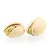 natural color roasted and salted pistachio/ shelled pistachio nuts factory