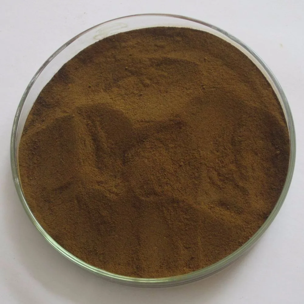 Miracle Fruit Extract / Mysterious Fruit Extract Powder / Synsepalum