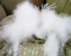 90% washed white goose down raw material FP 800 90% grey goose down goose down filling raw material fill power 800