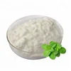 peppermint extract powder 100% nature Premium organic mint powder