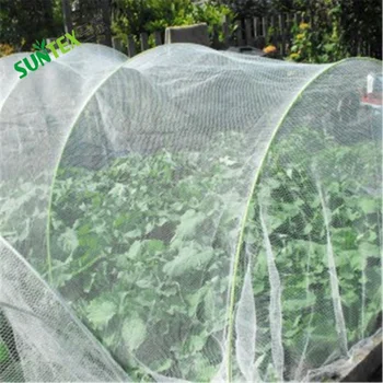 40mesh Hdpe Anti Insect Nets Uv Treated Transparent Plastic Insect ...