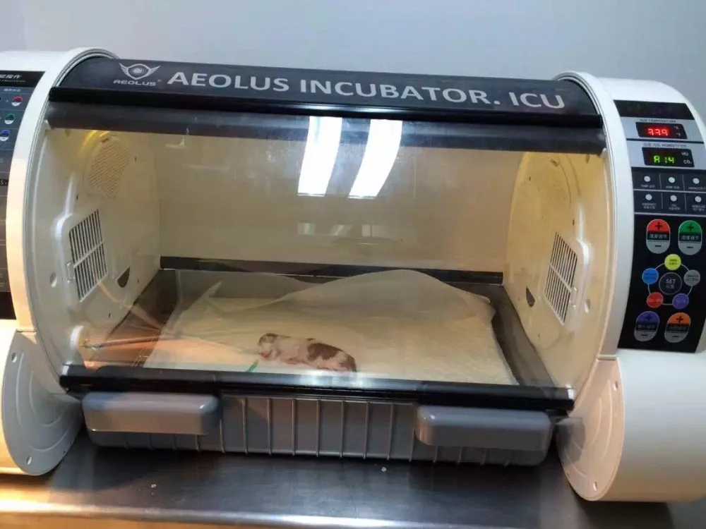 Aeolus Puppy Incubator Icu Intensive Care Unit For Pet