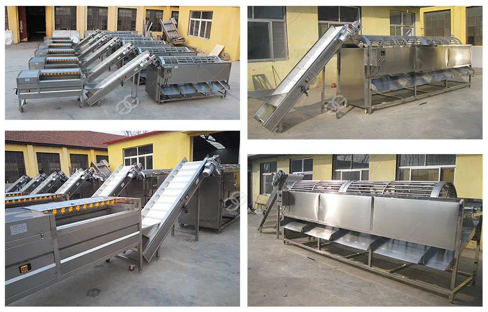 Lemon Sorting Machine