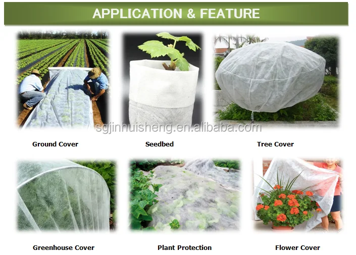 HTB1RDpdPFXXXXcdXXXX760XFXXXa