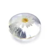 Private Label OEM Amino Acid Soap Nourishing Moisturizing Whitening Organic Natural Sun Flower Handmade Vegan Face Soap