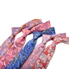wholesale latest paisley poly ties necktie