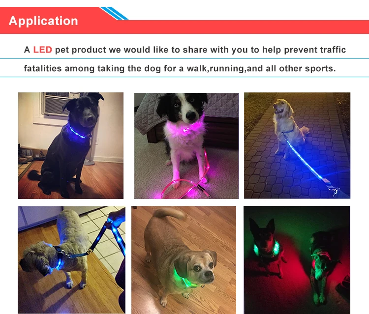 Rechargeable USB Nylon LED Dog Leash