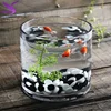Clear round glass fish aquarium