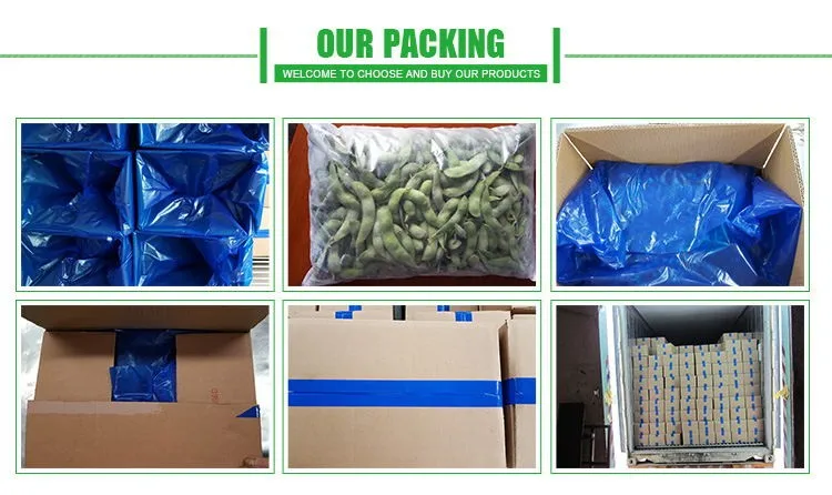 
supply BRC certified new crop IQF frozen edamame beans / soy bean kernels good quality hot sale 