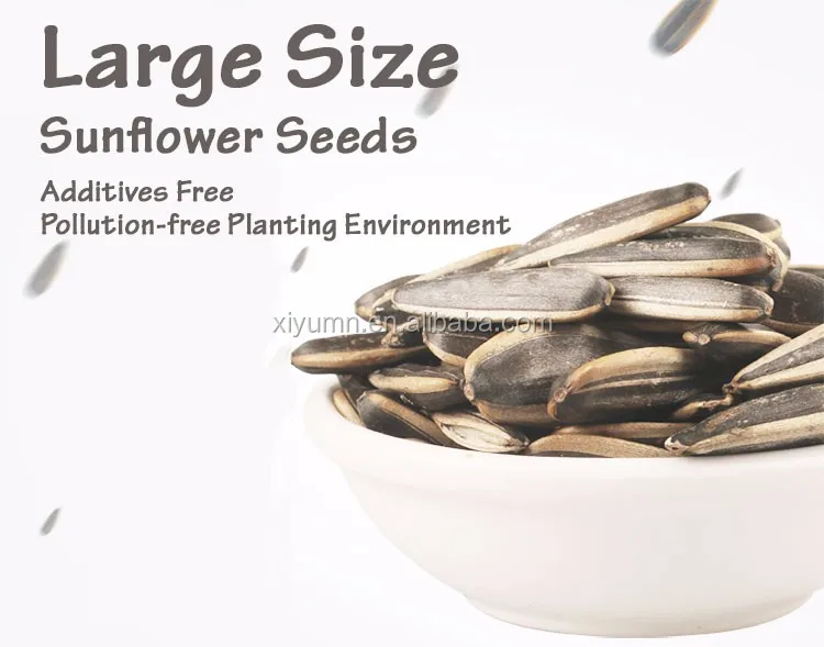 sunflower seed