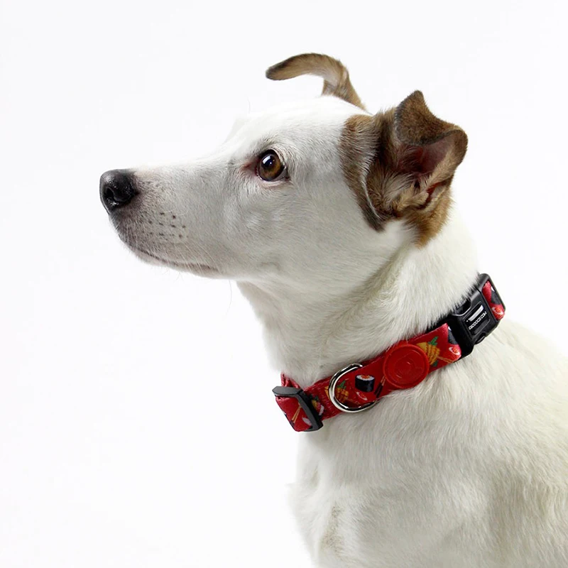 dog collar-qqpets (4).jpg