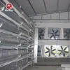 Silver star poultry farming equipment layer chicken shed cage