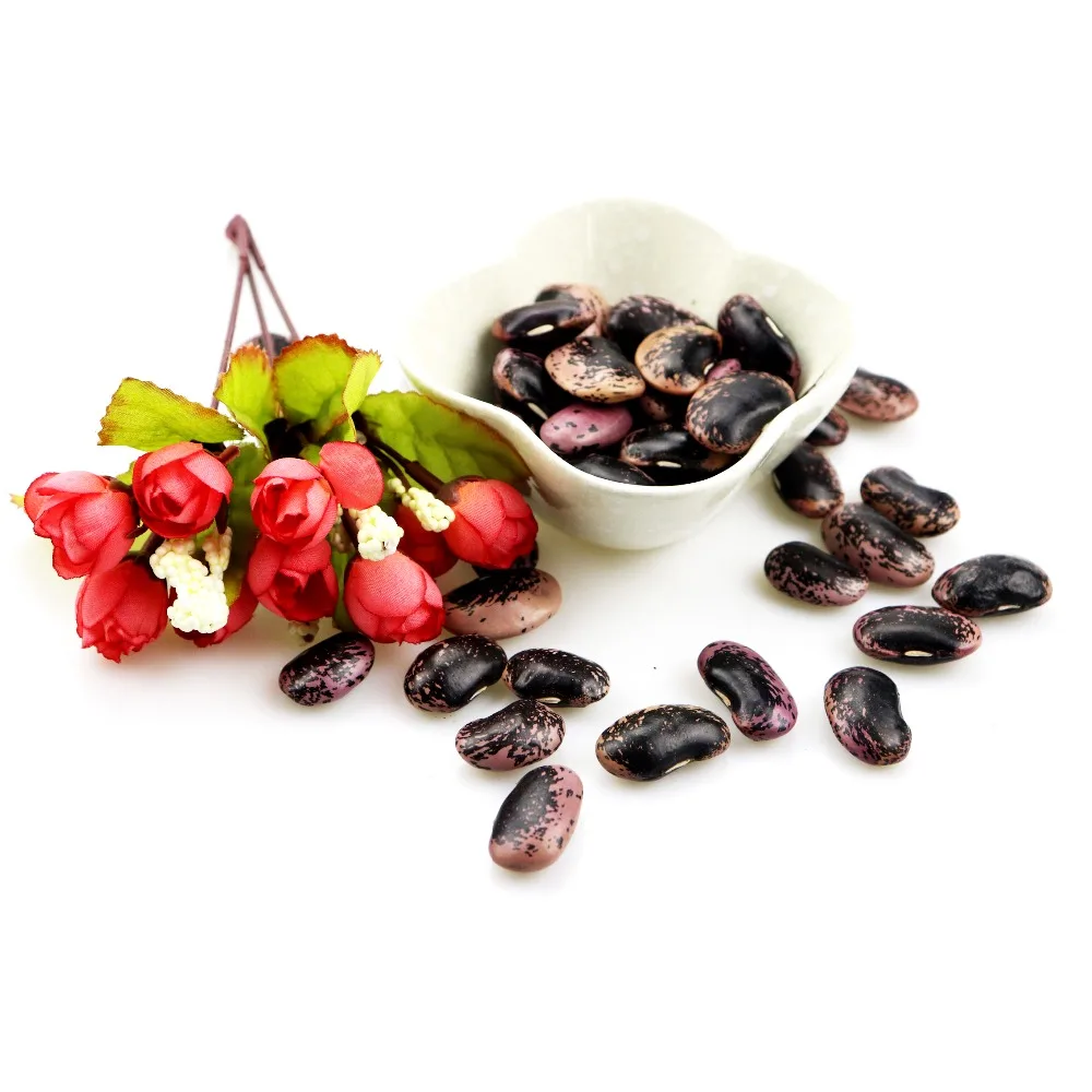 
Large Black Speckled Kidney beans(LBSKB) Yunnan Origin 