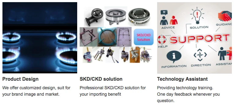 wall mounted gas water heater