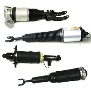Audi Air Shock Absorber.jpg
