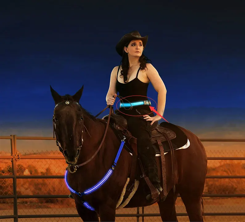 High Viz Yellow With Silver Reflective Equisafety Adjustable Body Harness