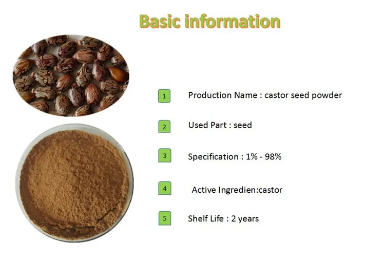 Fda High Quality Best Price Castor Seed Extract Powder Castor Seed