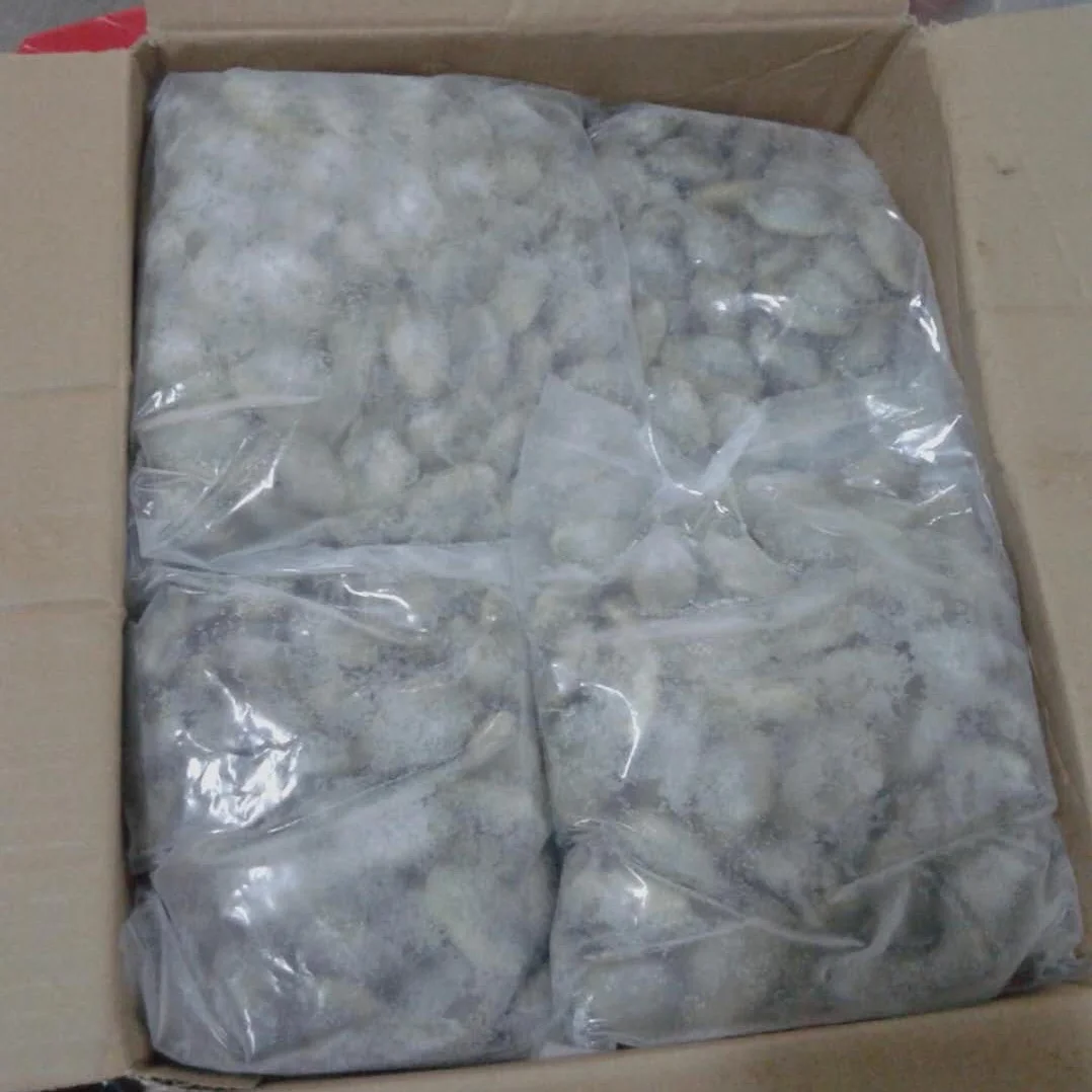 
Good Sale Frozen Oil Clams / Cooked Clam Meat Indonesia Seafood 