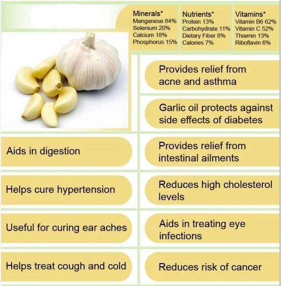 garlic  oil