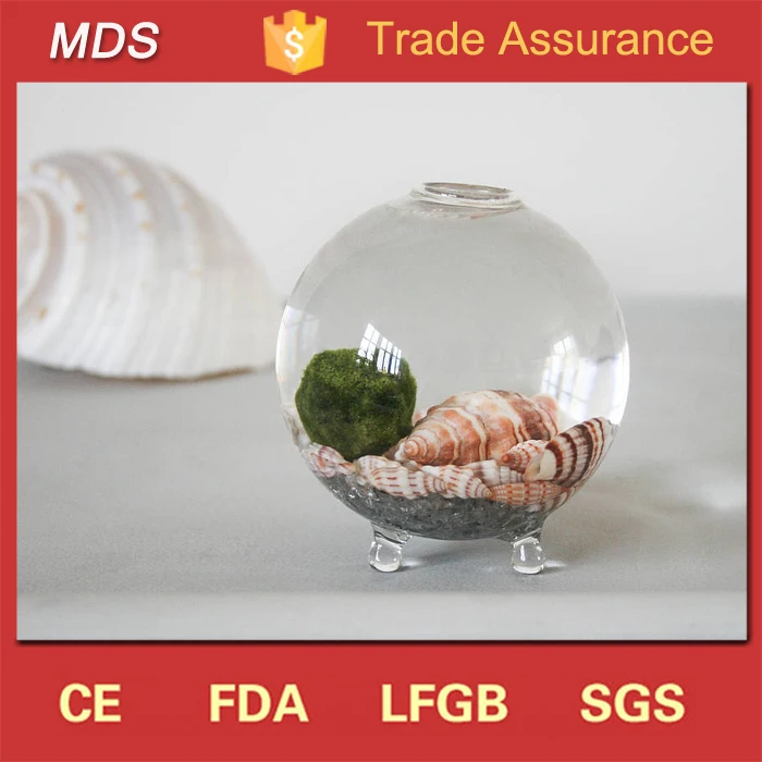 Handblown clear design glass vase mini terrarium wholesale