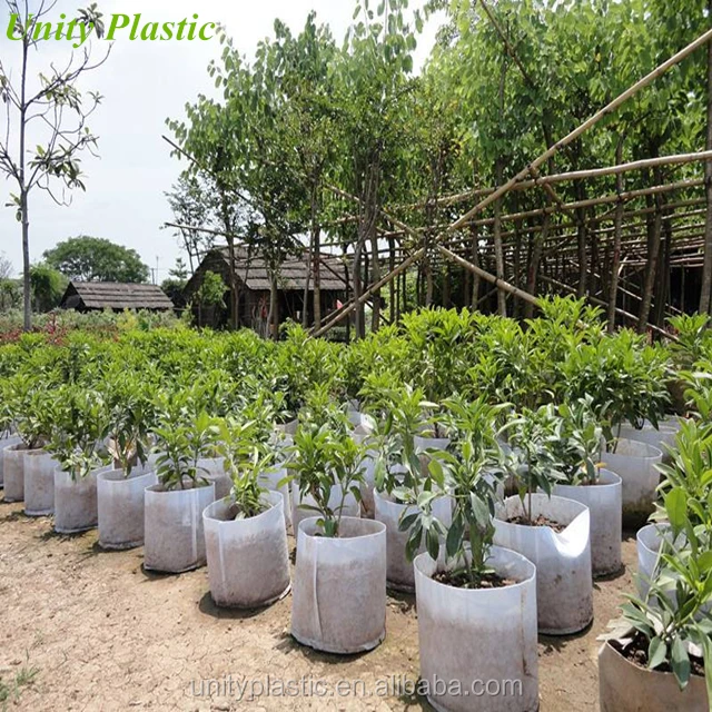 plant nursery plastic bolsas