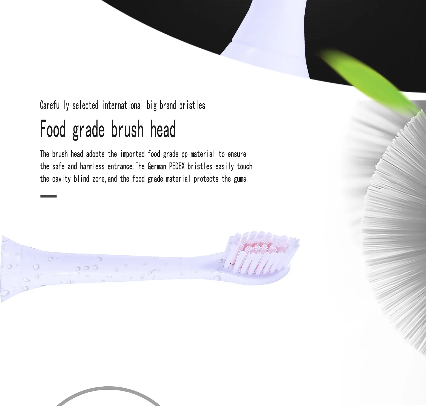 Brush-head_02.jpg