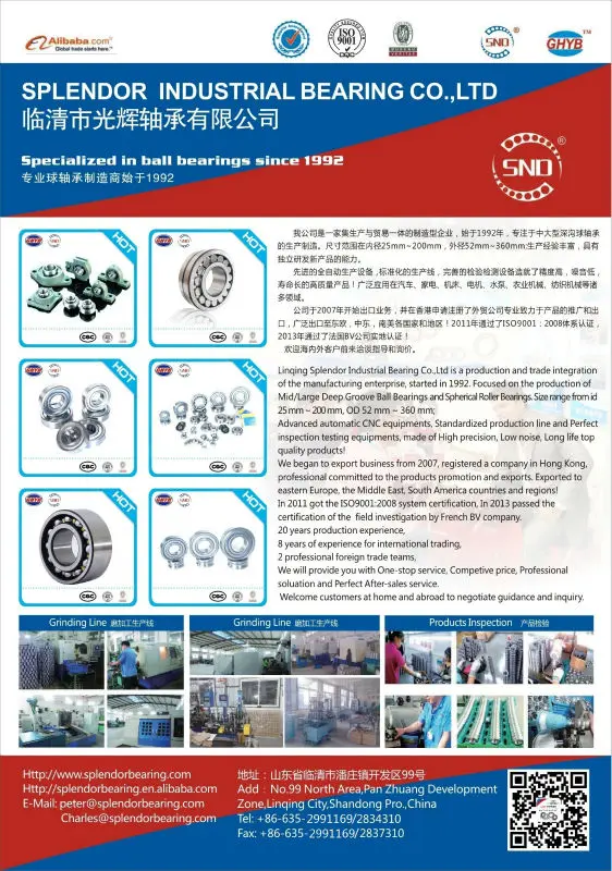 Chinese im<em></em>portor Auto Variator ball bearing size 6000zz with ready stock