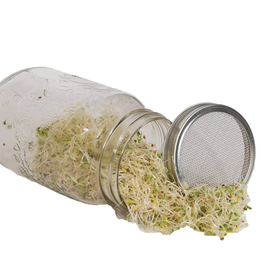 304 316 Stainless Steel Sprouting Lids For Wide Mouth Mason Jars Buy