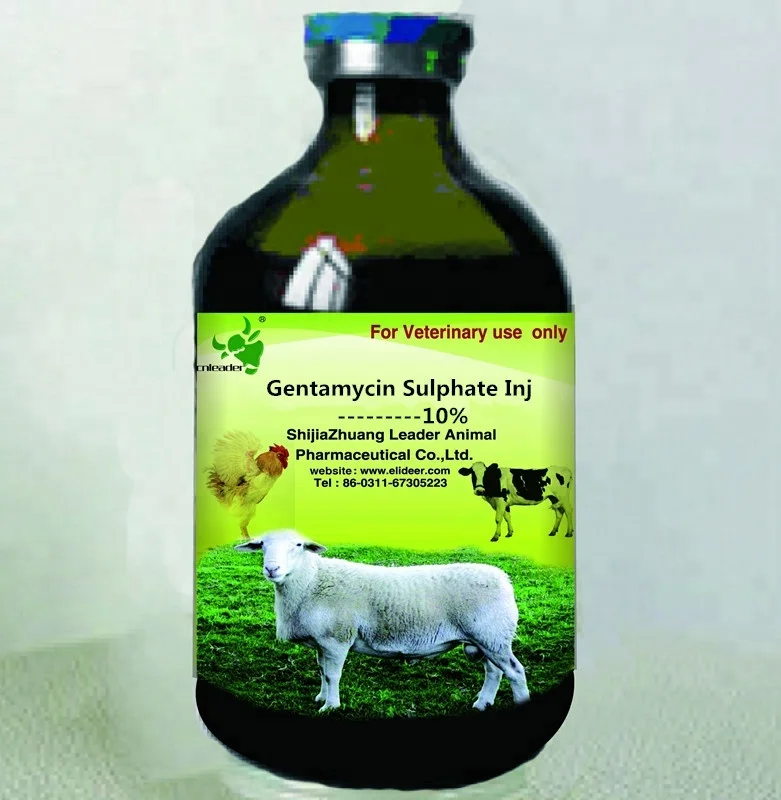 Укол ягненку. Антибиотики для овец. Антибиотик для ягнят. Антибиотики для коз в таблетках. Антибиотики для барашек.