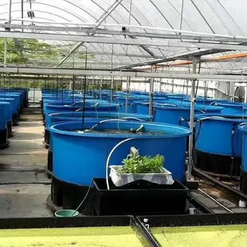 agricultural multi-yield fish-culture symbiosis system